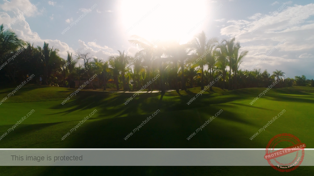 Florida-Sod-Wholesale-Farm
