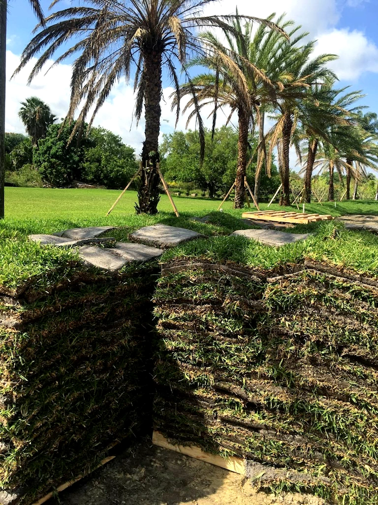 Fresh Florida Sod Farm